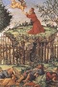 Sandro Botticelli prayer in the Garden (mk36) oil painting picture wholesale